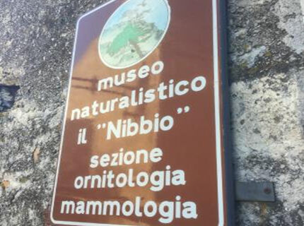 Il Nibbio Centro Studi Naturalistici Del Pollino Morano