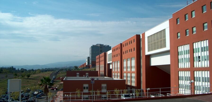 Università degli studi della Calabria